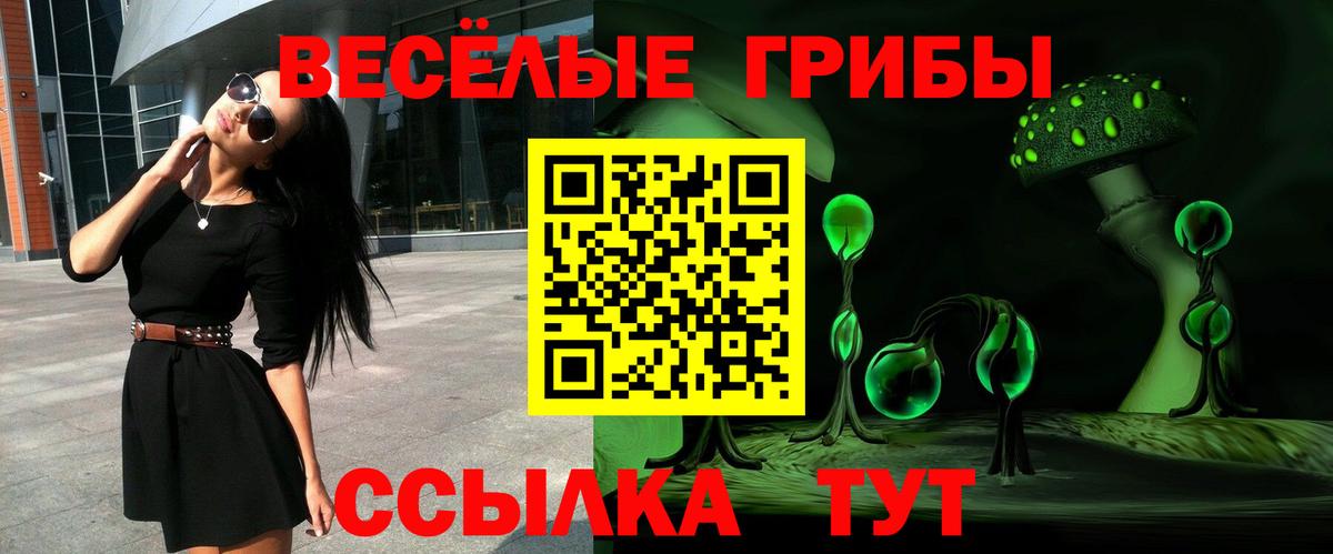 как найти закладки  Галлюциногенные грибы прущие грибы  Вход с VPN  Галлюциногенные грибы Cubensis  Долгопрудный 